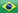 brasilian